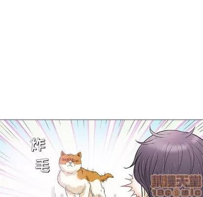 奇趣新人 奇趣新人 | 第40章 第40页