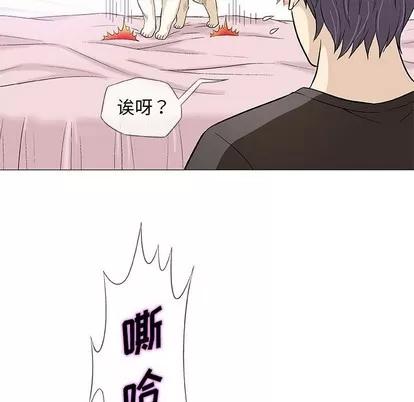 奇趣新人 奇趣新人 | 第40章 第41页