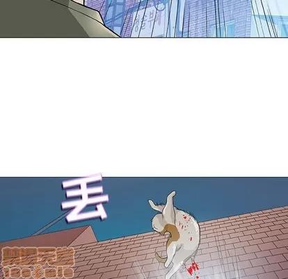 奇趣新人 奇趣新人 | 第43章 第85页