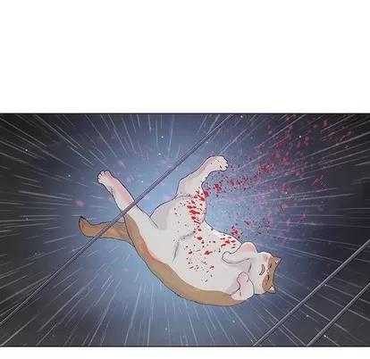 奇趣新人 奇趣新人 | 第43章 第88页