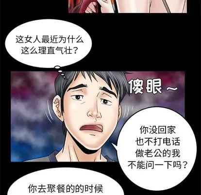 妻子的情人 妻子的情人 | 第27章 第33页