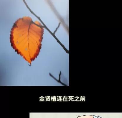 别离我而去 别离我而去 | 第18章 第36页