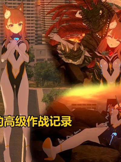 高级作战记录