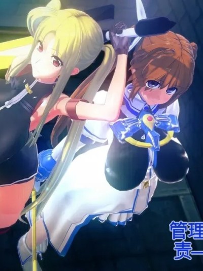 管理局魔导士的职责ー1-5