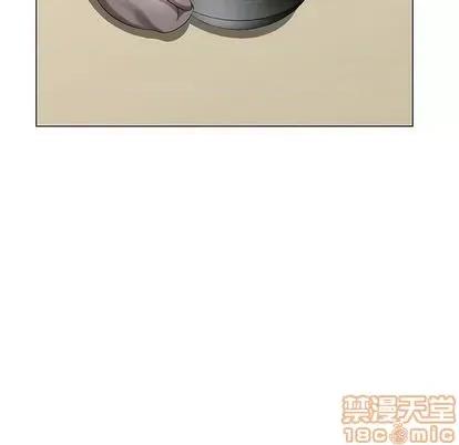天降梦中人 天降梦中人 | 第40章 第80页