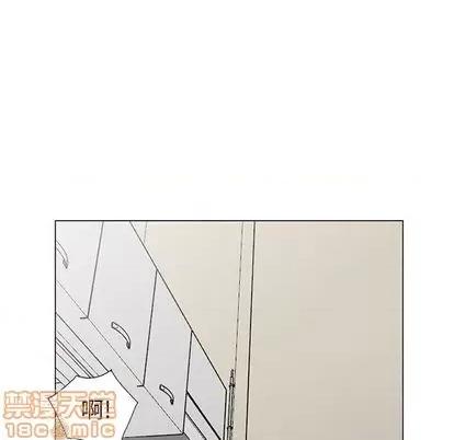 天降梦中人 天降梦中人 | 第41章 第100页