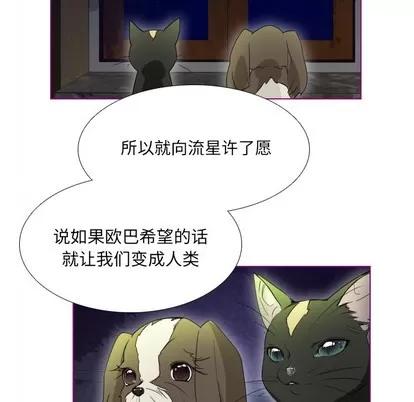 我的猫狗女友 我的猫狗女友 | 第2章 第43页