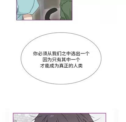 我的猫狗女友 我的猫狗女友 | 第2章 第45页