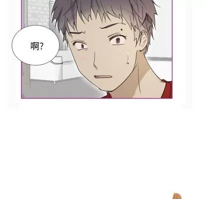 我的猫狗女友 我的猫狗女友 | 第2章 第46页