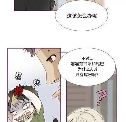 我的猫狗女友 我的猫狗女友 | 第3章 第5页