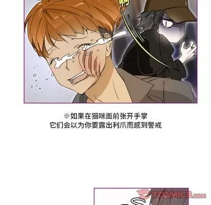 我的猫狗女友 我的猫狗女友 | 第3章 第37页