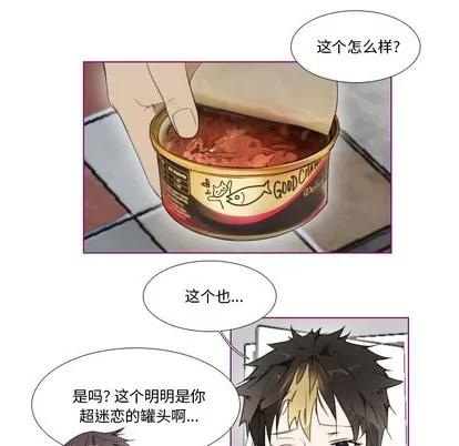 我的猫狗女友 我的猫狗女友 | 第4章 第17页
