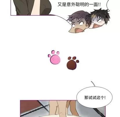 我的猫狗女友 我的猫狗女友 | 第4章 第19页