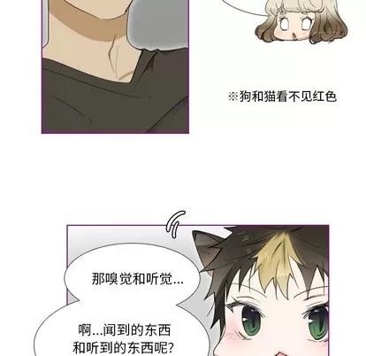 我的猫狗女友 我的猫狗女友 | 第6章 第12页