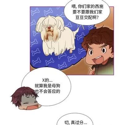 我的猫狗女友 我的猫狗女友 | 第6章 第20页