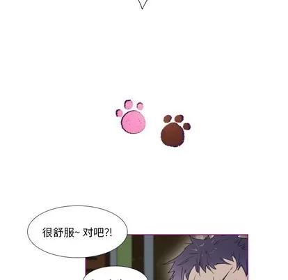 我的猫狗女友 我的猫狗女友 | 第7章 第38页
