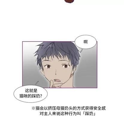 我的猫狗女友 我的猫狗女友 | 第8章 第11页