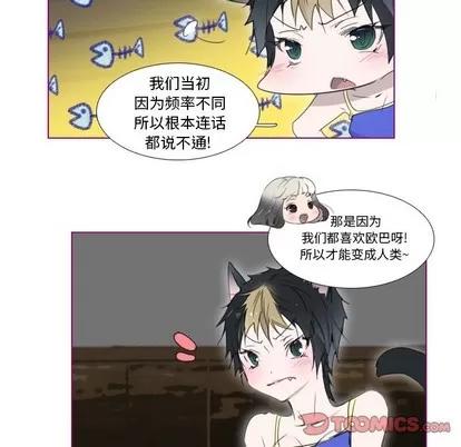 我的猫狗女友 我的猫狗女友 | 第8章 第19页