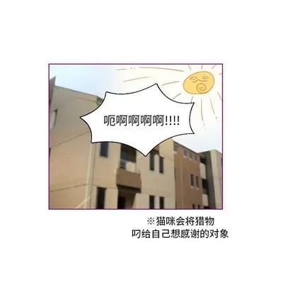 我的猫狗女友 我的猫狗女友 | 第9章 第36页
