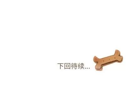 我的猫狗女友 我的猫狗女友 | 第10章 第36页