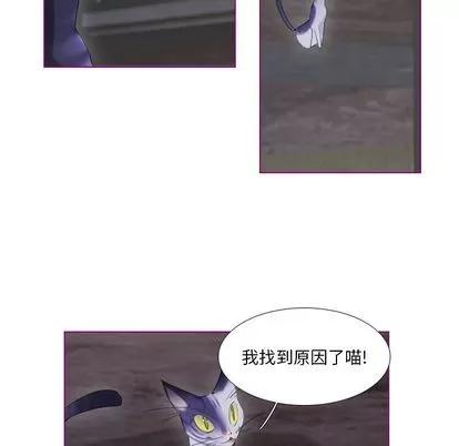 我的猫狗女友 我的猫狗女友 | 第12章 第32页