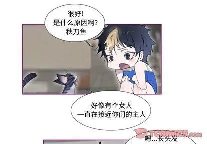 我的猫狗女友 我的猫狗女友 | 第13章 第1页