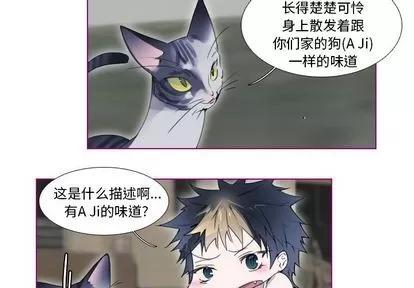 我的猫狗女友 我的猫狗女友 | 第13章 第2页