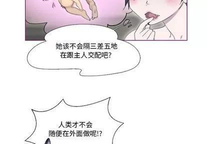 我的猫狗女友 我的猫狗女友 | 第13章 第4页