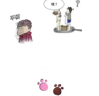 我的猫狗女友 我的猫狗女友 | 第15章 第18页
