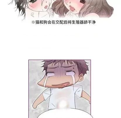 我的猫狗女友 我的猫狗女友 | 第16章 第27页