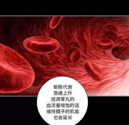 地表最后的男人 最后的男人 | 第9章 第103页