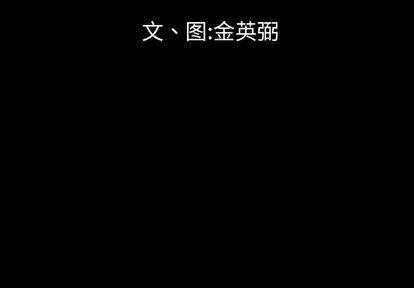 地表最后的男人 最后的男人 | 第13章 第2页