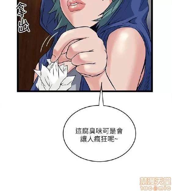 同室房客 安全之家 11-20 第261页