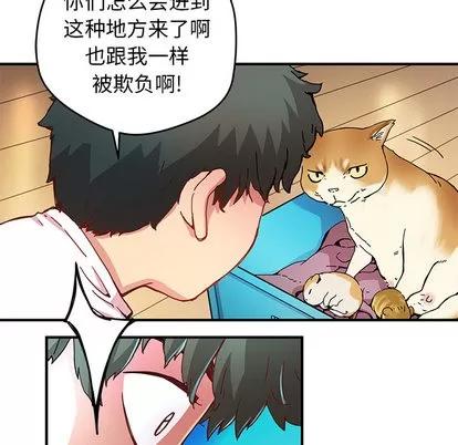 N.E.R.D秘密组织 N.E.R.D秘密组织 | 第6章 第68页