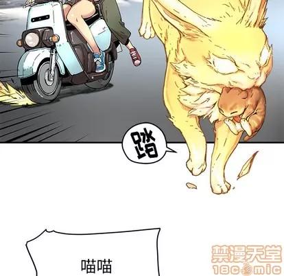 N.E.R.D秘密组织 N.E.R.D秘密组织 | 第7章 第20页