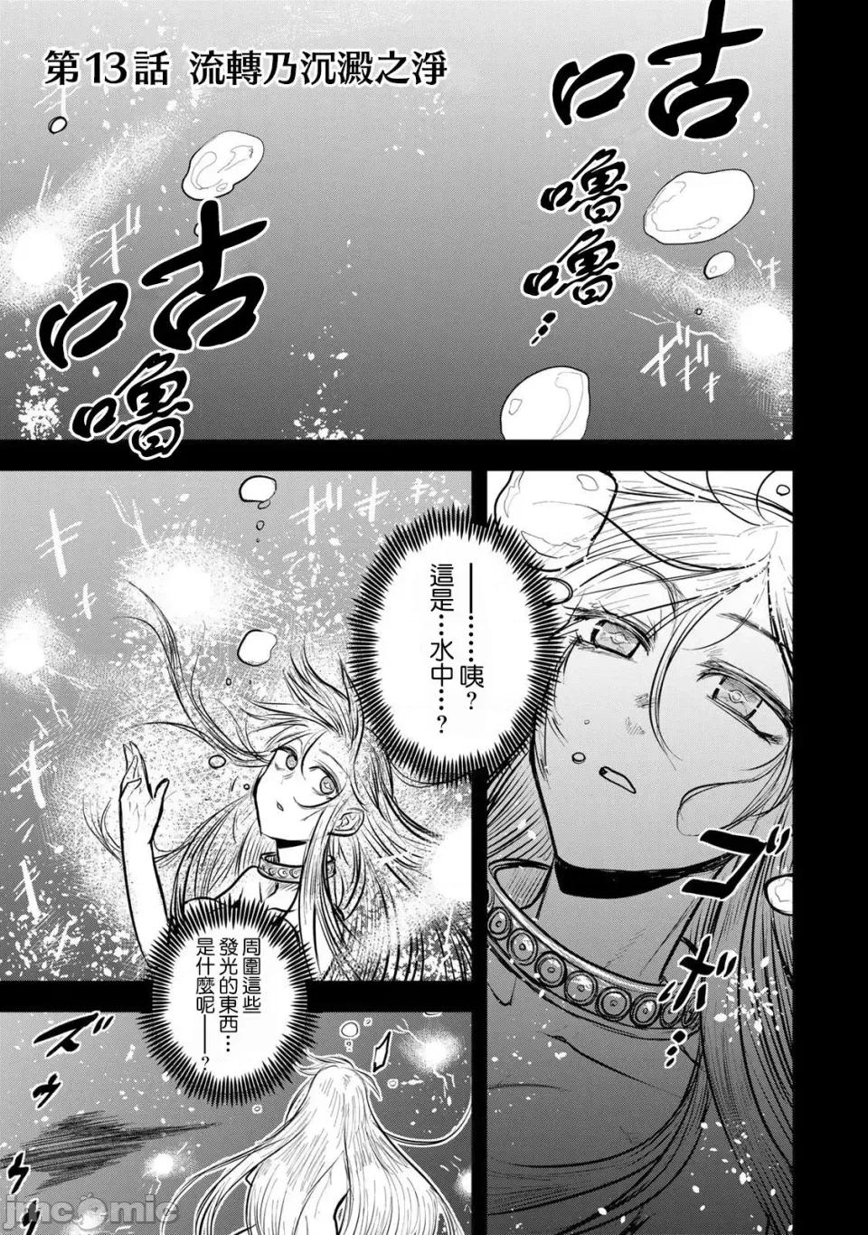 姬騎士是蠻族的新娘 姬騎士是蠻族的新娘 13 第1页