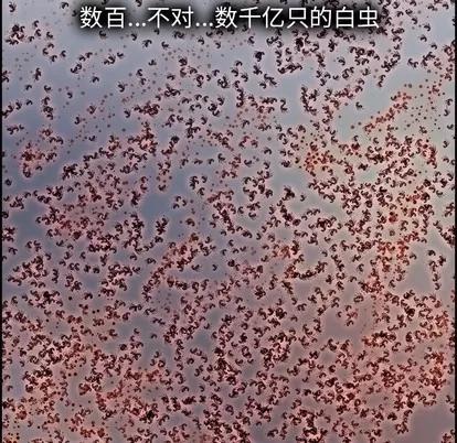 Warble生存之战 Warble生存之战 | 第69章 第109页