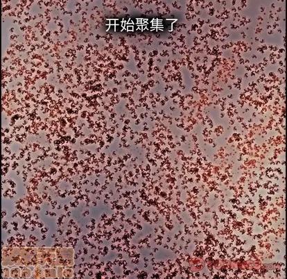 Warble生存之战 Warble生存之战 | 第69章 第110页