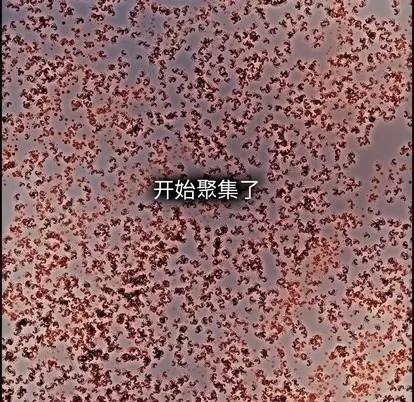 Warble生存之战 Warble生存之战 | 第70章 第6页