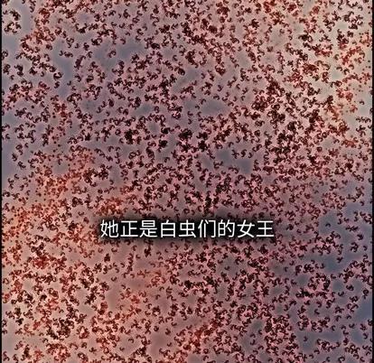 Warble生存之战 Warble生存之战 | 第70章 第7页