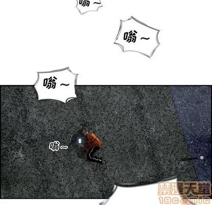 Warble生存之战 Warble生存之战 | 第85章 第120页