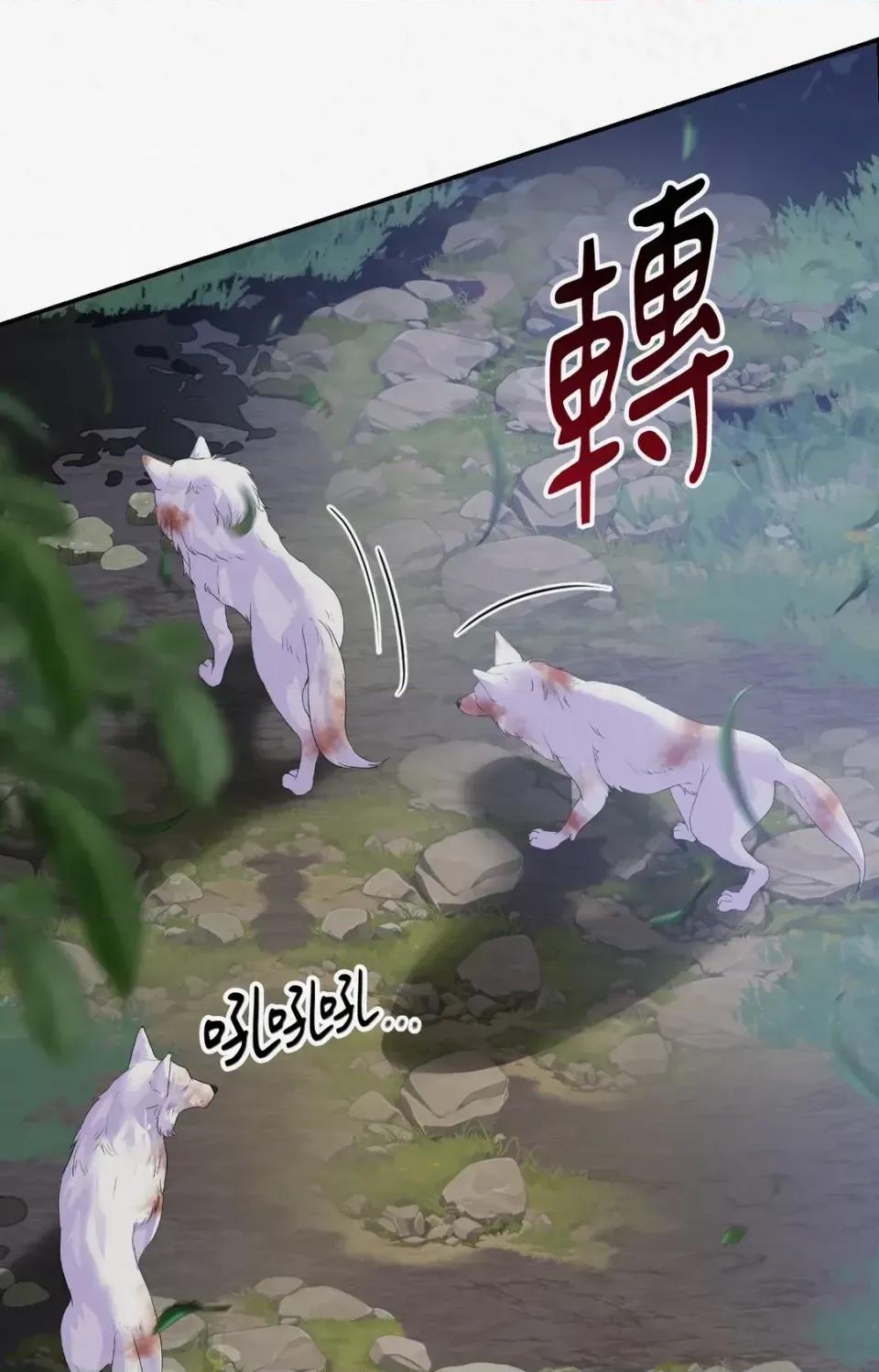 Pi,Sookh狼 狼-第18话 第11页