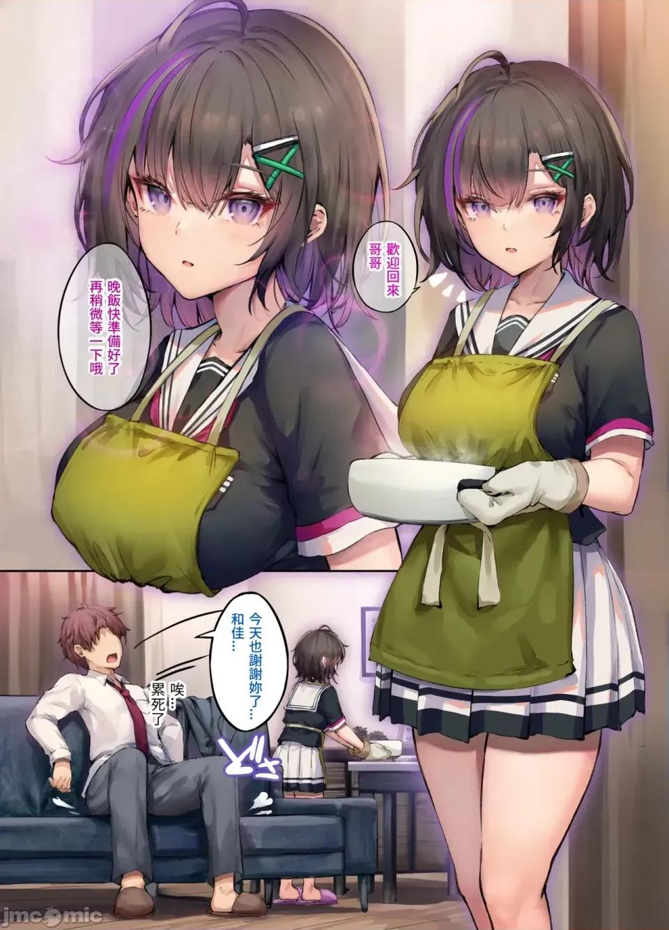 义妹期望着家人以上的关係 义妹期望着家人以上的关係 [银糖制菓 (玉砂糖)] 义妹は家族以上の关係を望んでいる [中国语] [DL版] [禁漫去码] 第5页