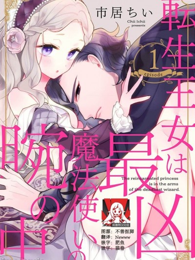 凶恶魔法师拥抱的重生王女