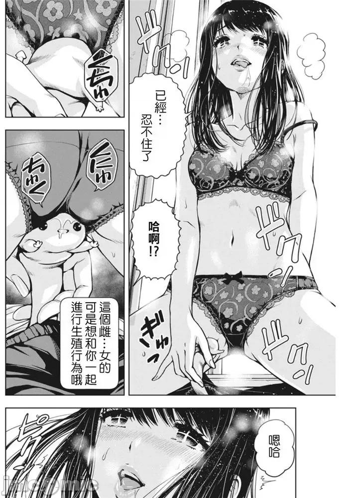 愛的流星卡烏帕 愛的流星卡烏帕2 第26页