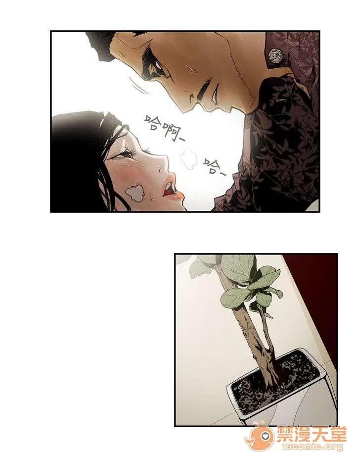 溫柔的騙局 拋棄 第5页