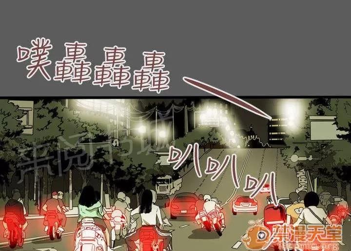 溫柔的騙局 往事 第1页