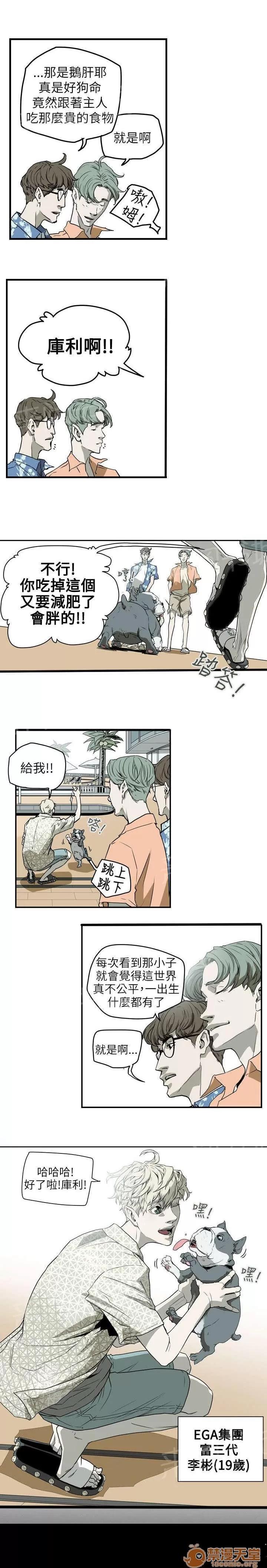 溫柔的騙局 往事 第19页