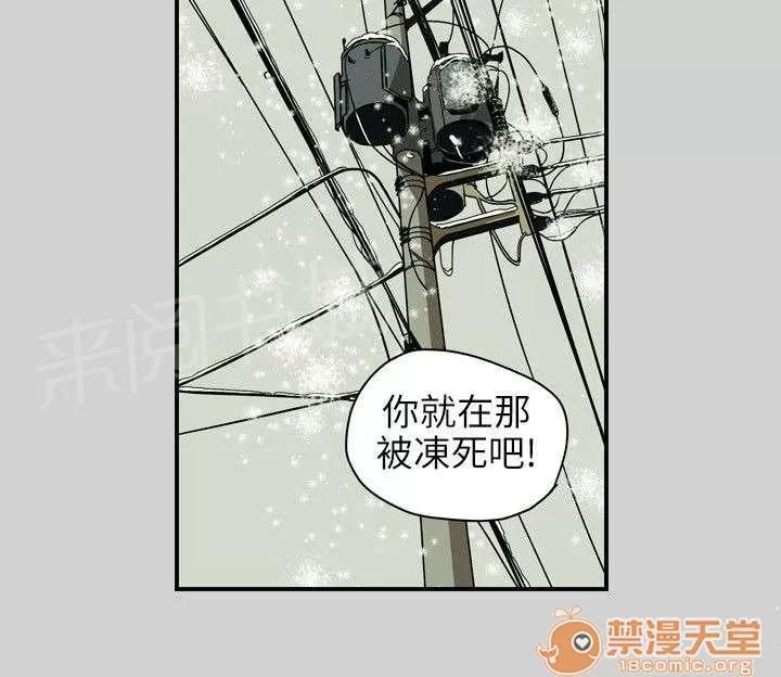 溫柔的騙局 林 第11页