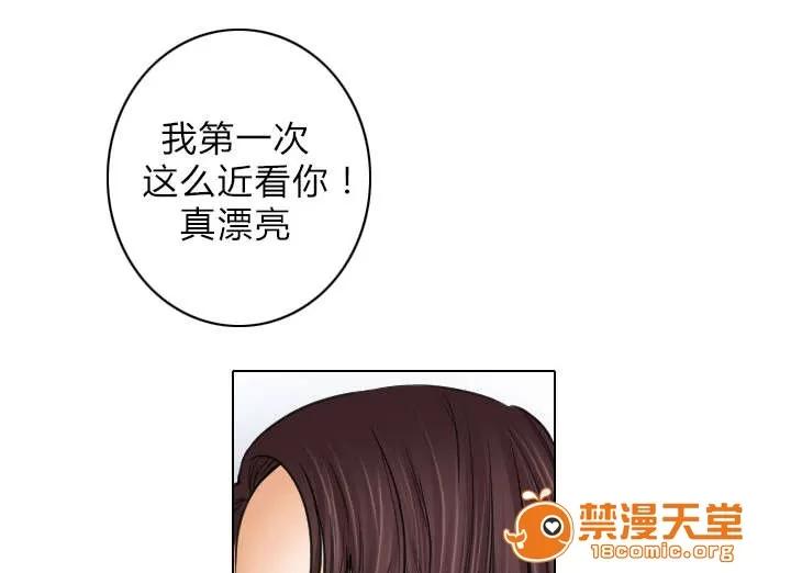 死亡的假象 47 第19页